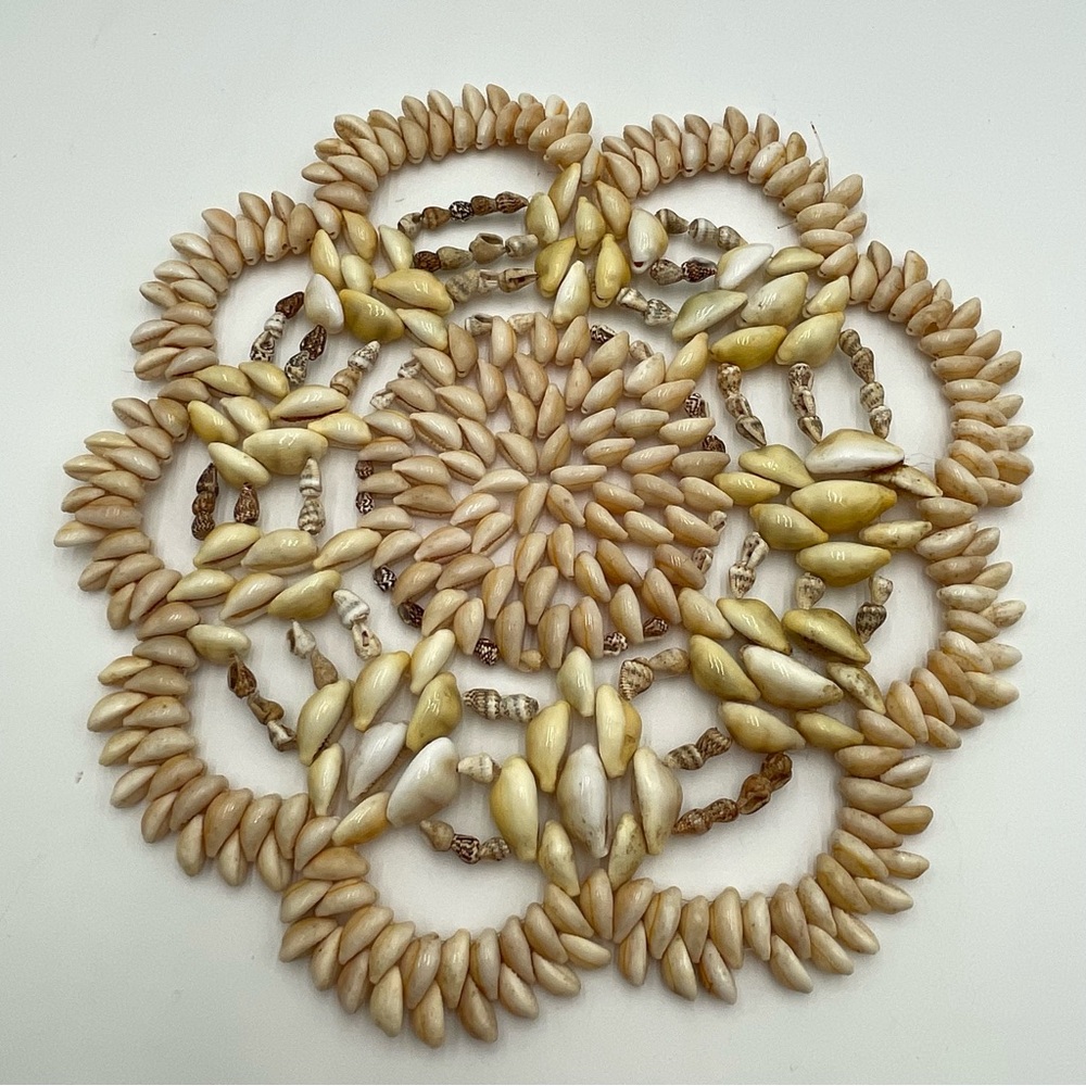 Seashell Sea Shells Trivets 10” Large Doily Cowrie Puka Vintage